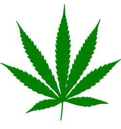 marijuana-leaf-250x267